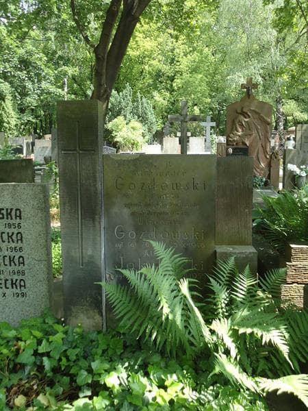 Zdjęcie grobu Wincenty Gozdowski (2)