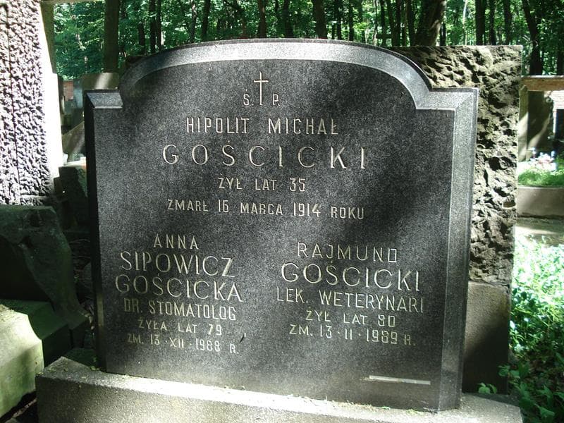 Zdjęcie grobu Hipolit Michał Gościcki (1)
