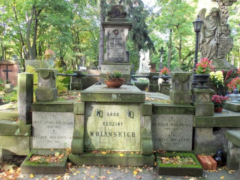 Zdjęcie grobu: Aleksandra Wolańska