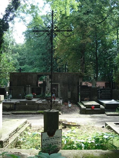 Zdjęcie grobu Julia Lubańska (2)