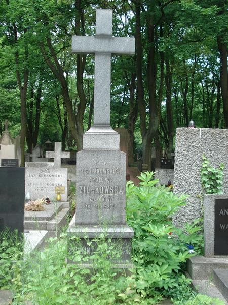 Zdjęcie grobu Józef Drzewiecki (2)