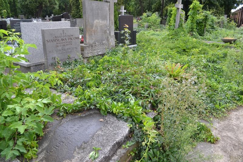 Zdjęcie grobu: Maria Kozłowska