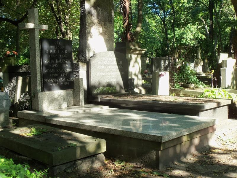 Zdjęcie grobu Bolesław Opolski (1)