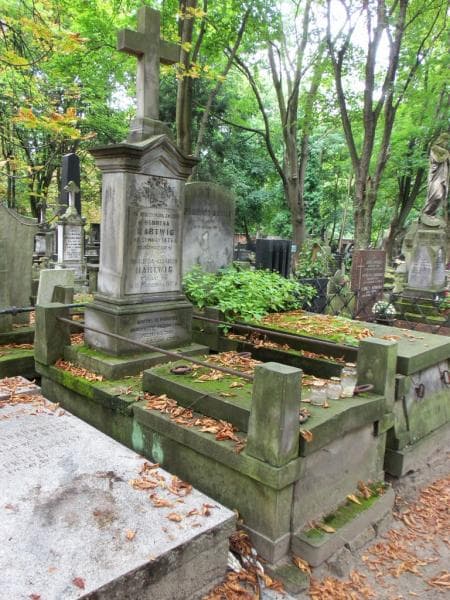 Zdjęcie grobu Henryk Hartwig (1)