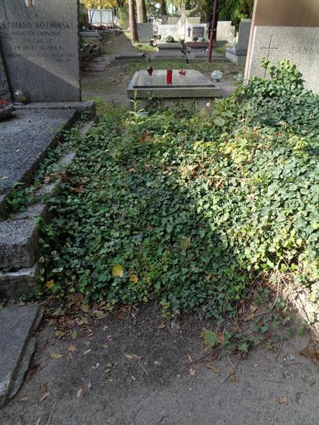 Zdjęcie grobu: Pole Grobowe