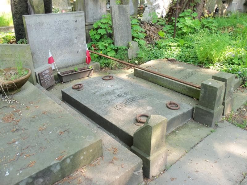 Zdjęcie grobu Witold Kępiński (1)