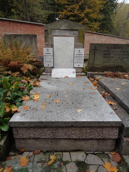 Zdjęcie grobu Janina Czub (1)