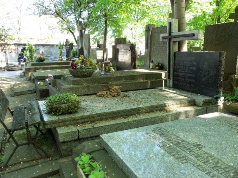 Zdjęcie grobu Maria Dobrowolska (1)
