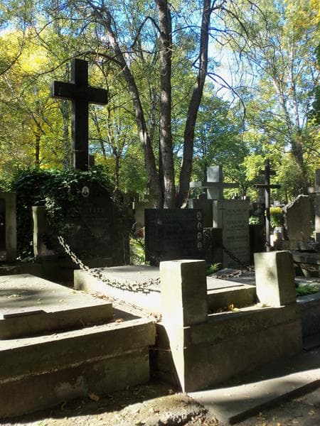 Zdjęcie grobu Juljusz Maleciński (1)