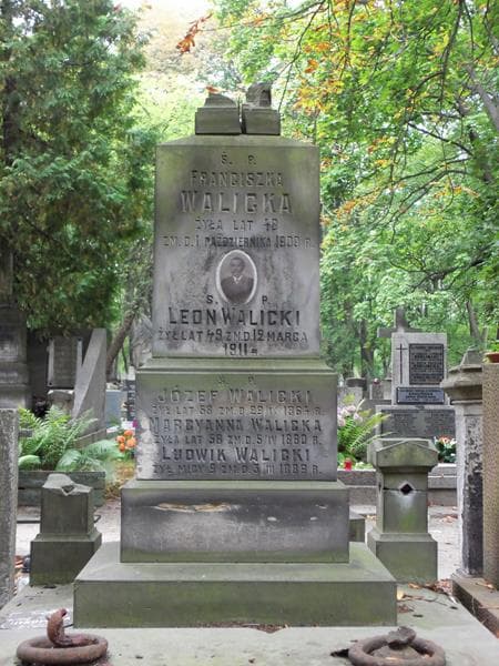 Zdjęcie grobu Józef Walicki (2)