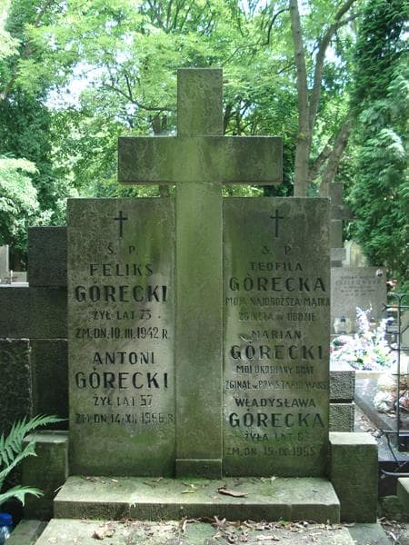 Zdjęcie grobu Antoni Górecki (2)