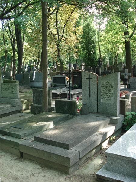 Zdjęcie grobu Władysław Wojtczak (1)