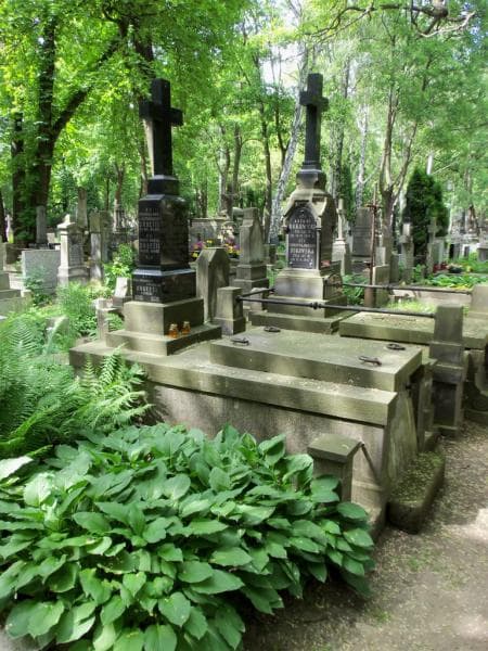 Zdjęcie grobu Ewa Chrościak Popielowa (1)