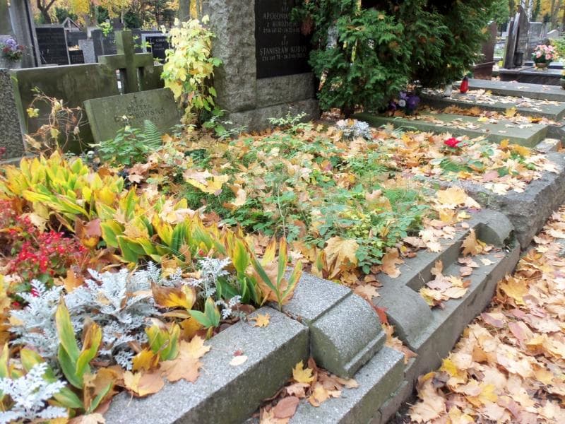 Zdjęcie grobu Bożena Czarkowska (1)