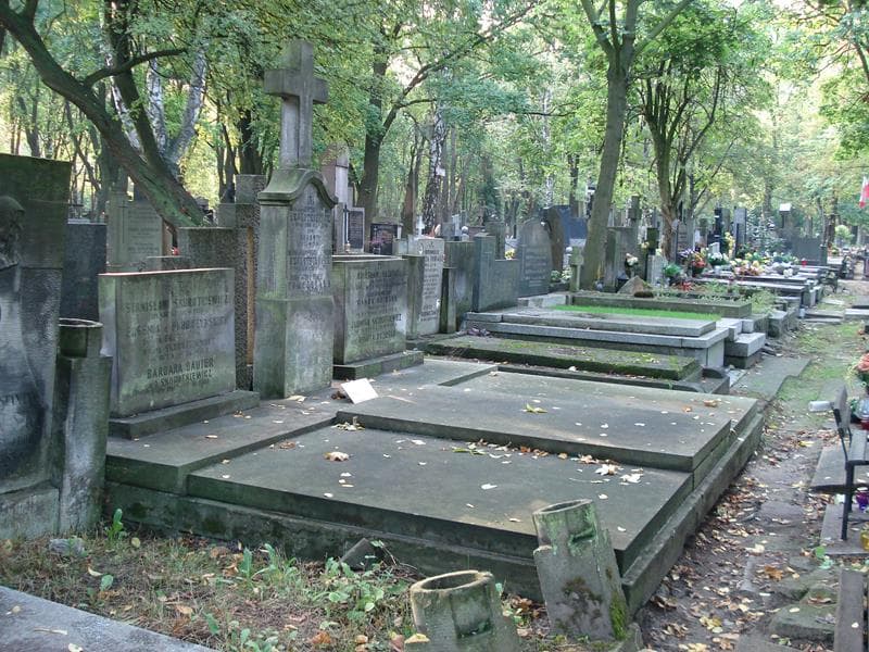 Zdjęcie grobu: Franciszka Tomczyńska