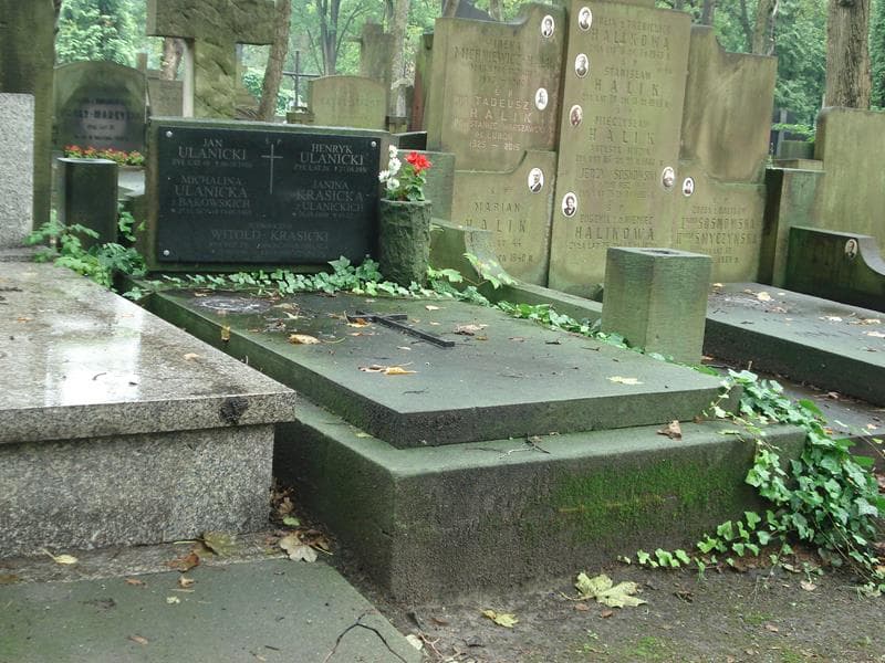 Zdjęcie grobu Michalina Ulanicka (1)