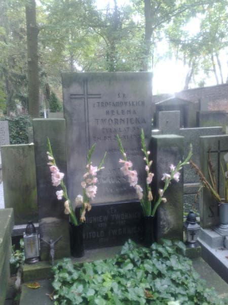 Zdjęcie grobu Witold Twornicki (1)
