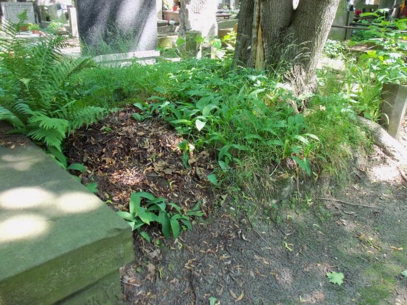 Zdjęcie grobu Pole Grobowe (1)