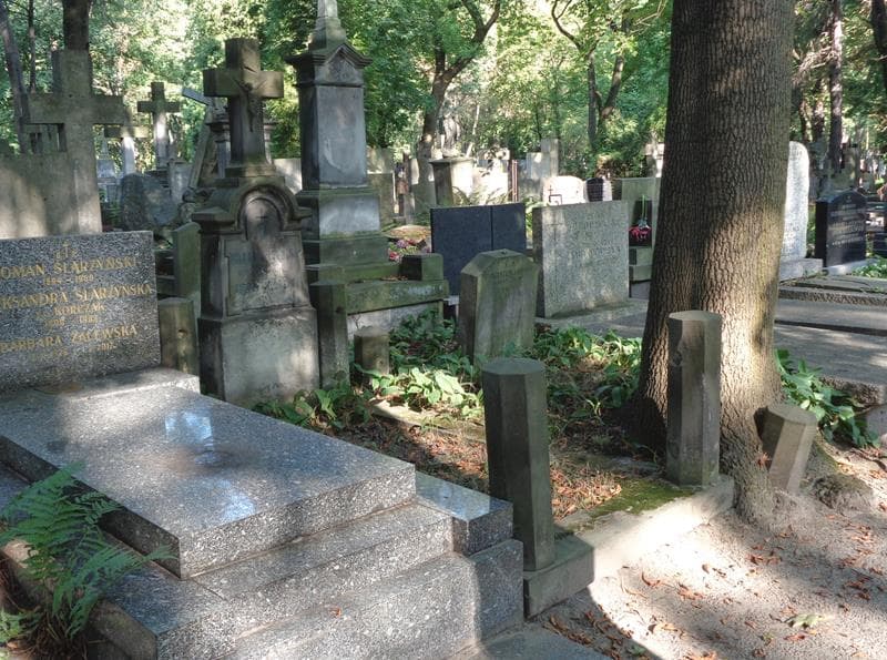 Zdjęcie grobu: Antoni Mędrecki