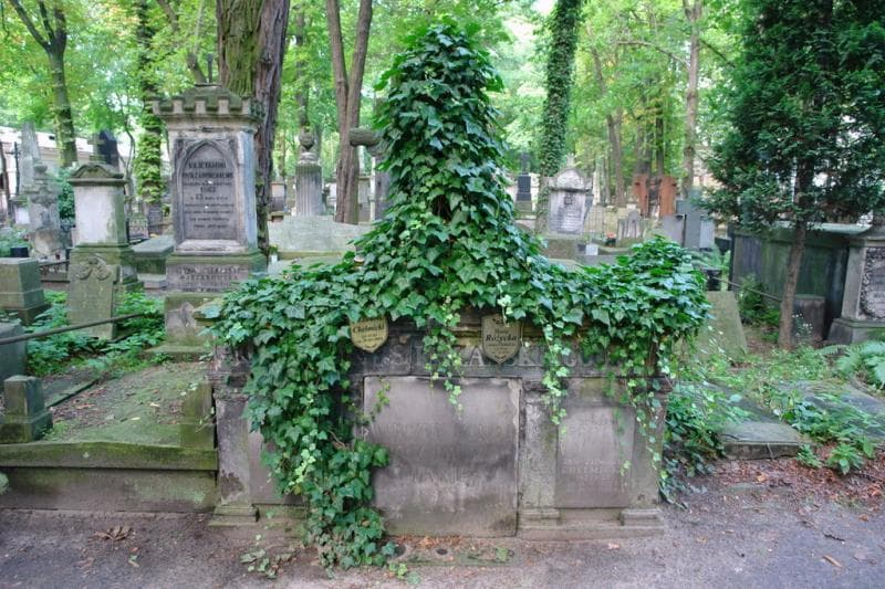 Zdjęcie grobu Jan Ziemowit Chełmicki (1)