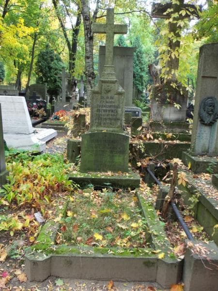 Zdjęcie grobu: Henryk Trzciński