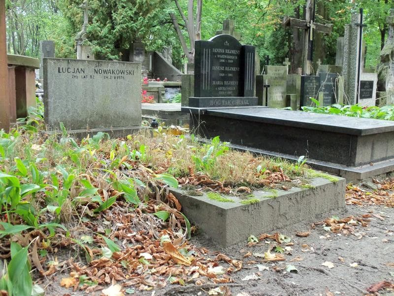 Zdjęcie grobu Lucjan Nowakowski (1)