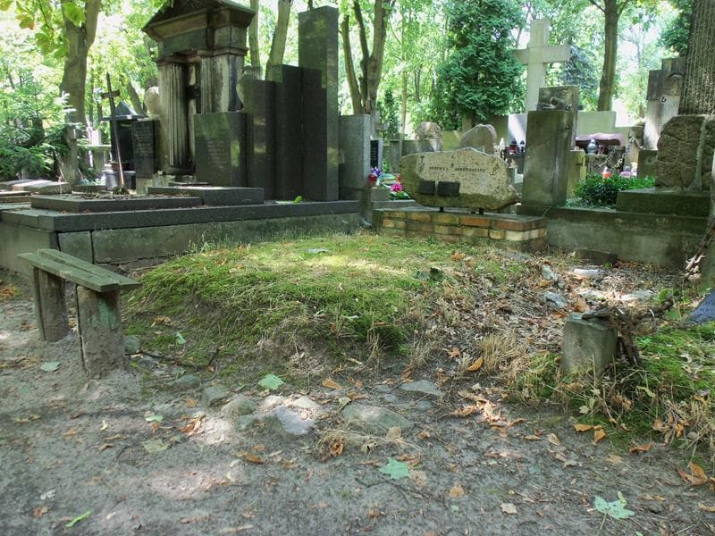 Zdjęcie grobu Maria Cecylia Drzewica Dobrowolska (1)