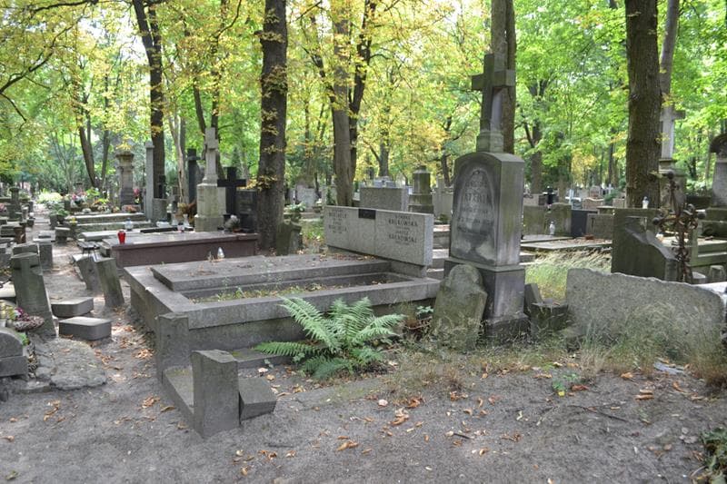 Zdjęcie grobu: Agnieszka Tatarin