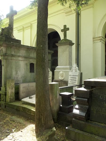 Zdjęcie grobu Izabela Bielicka (1)