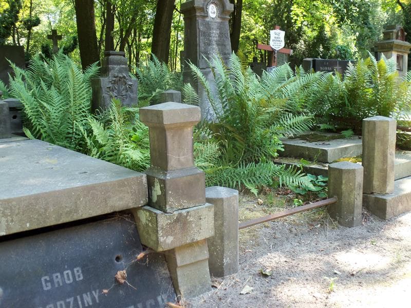 Zdjęcie grobu Bolesław Goski (1)