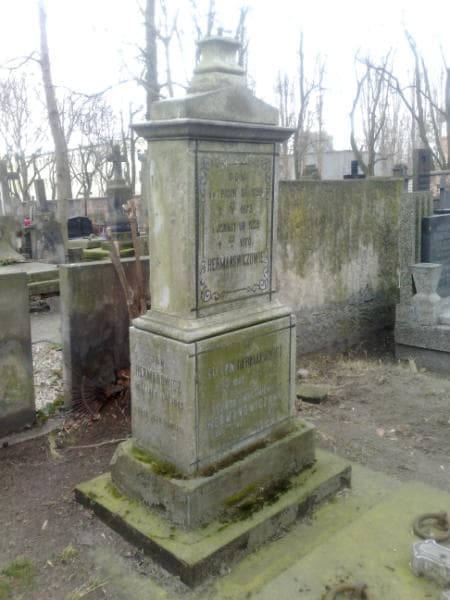 Zdjęcie grobu Stefan Hermanowicz (1)