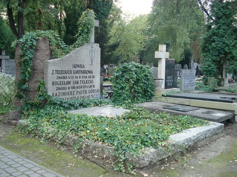 Zdjęcie grobu Halina Górska (1)