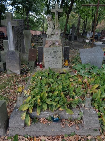 Zdjęcie grobu Stefan Gorzędowski (1)