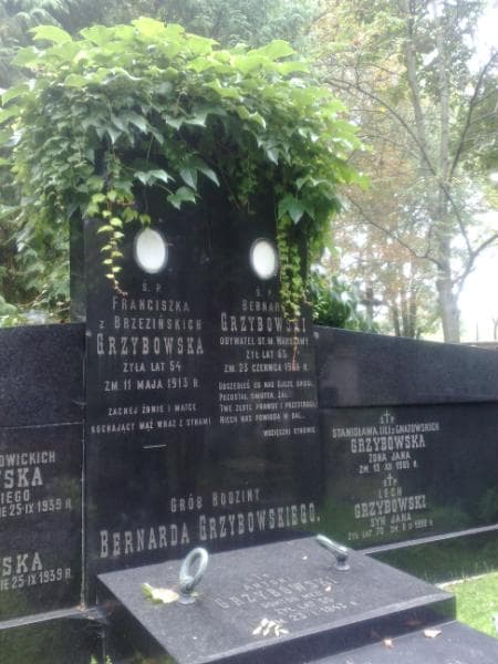 Zdjęcie grobu Teresa Antonina Chymkowska (1)