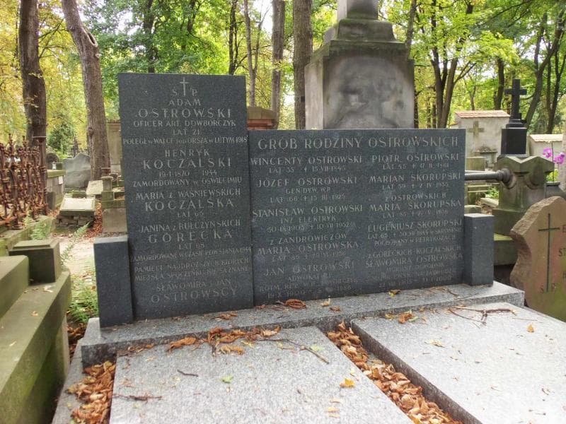Zdjęcie grobu Janina Górecka (2)