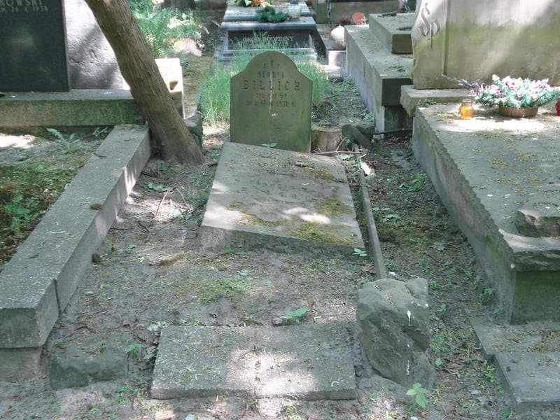 Zdjęcie grobu: Henryk Billich