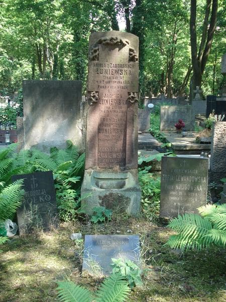 Zdjęcie grobu Leonard Gołko (1)