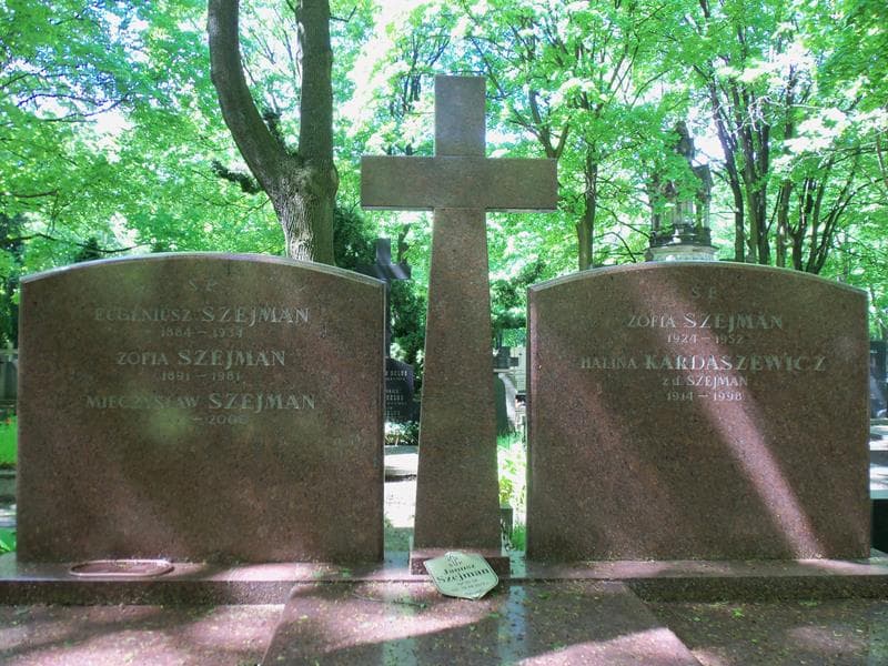Zdjęcie grobu Mieczysław Szejman (2)