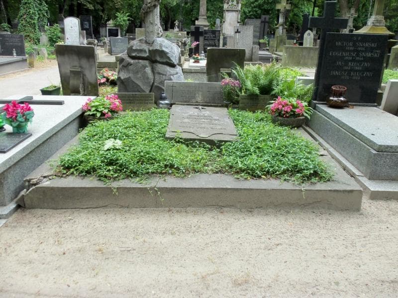 Zdjęcie grobu: Franciszka Lechowska