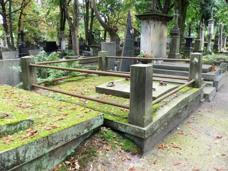 Zdjęcie grobu Dziemborowscy (1)
