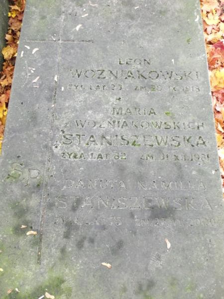 Zdjęcie grobu Leon Woźniakowski (2)