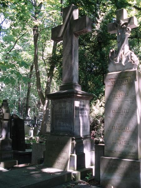 Zdjęcie grobu Jadwiga Kryńska (2)