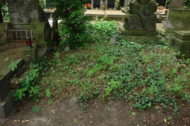 Zdjęcie grobu: Pole Grobowe
