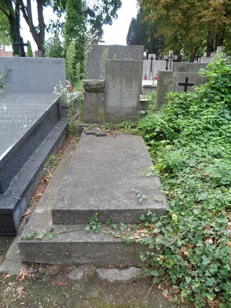 Zdjęcie grobu Helena Dzikowicka (1)