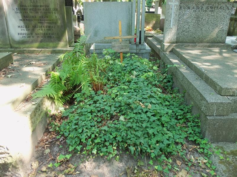 Zdjęcie grobu Wiktor Domurat (1)