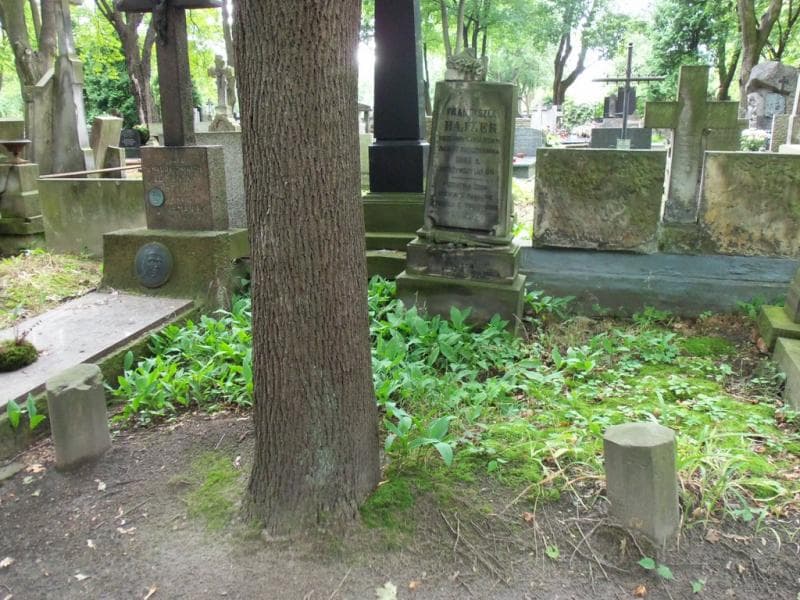 Zdjęcie grobu Franciszek Hajzer (1)