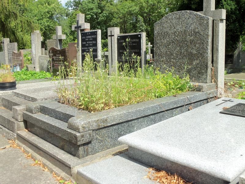 Zdjęcie grobu Edwin Patyna (1)