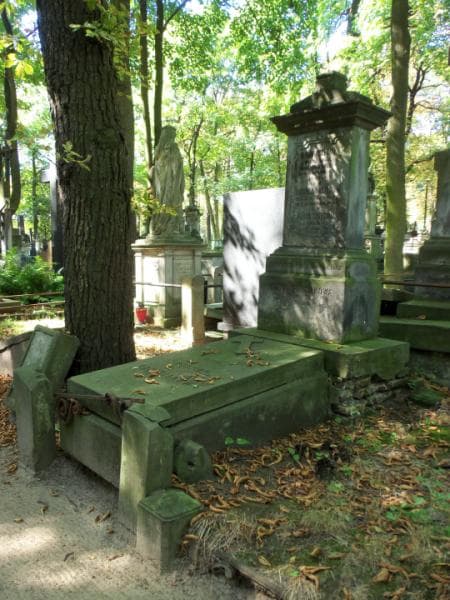 Zdjęcie grobu Katarzyna Trzeciak (1)