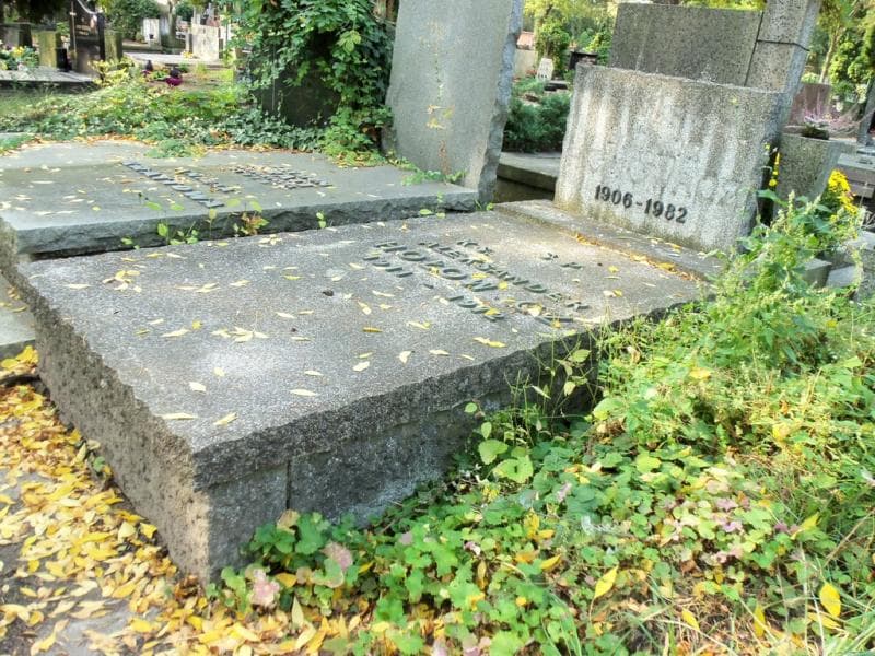 Zdjęcie grobu Aleksander Hołow(a)cz (1)
