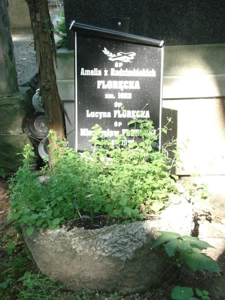 Zdjęcie grobu Amelia Floręcka (1)